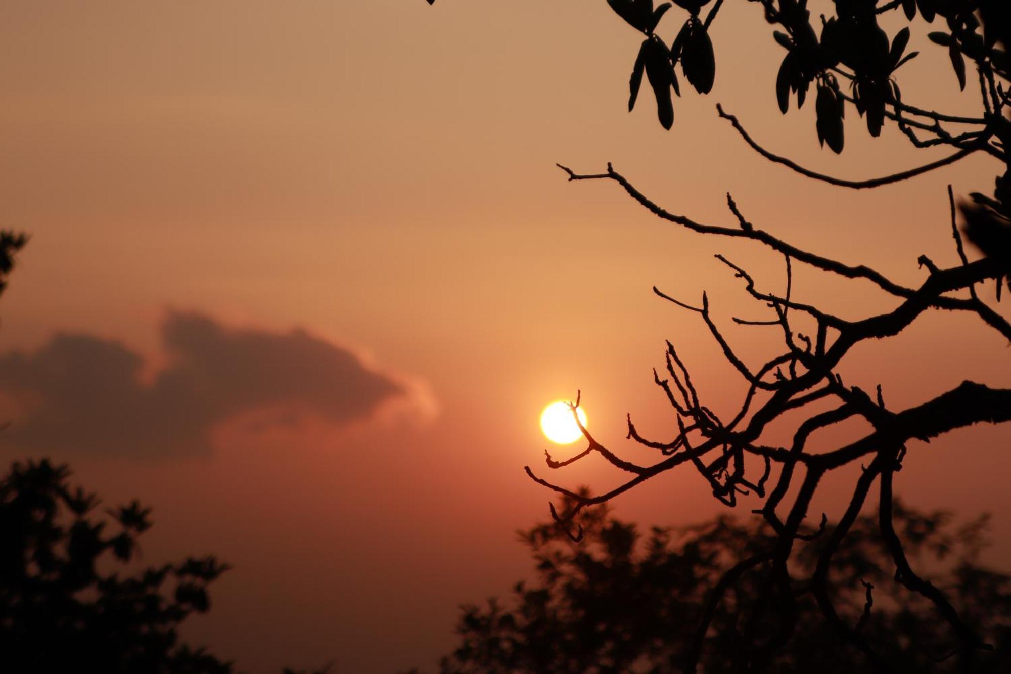 Simba Jungle Lodge, Binsar Wildlife Sanctuary Экстерьер фото