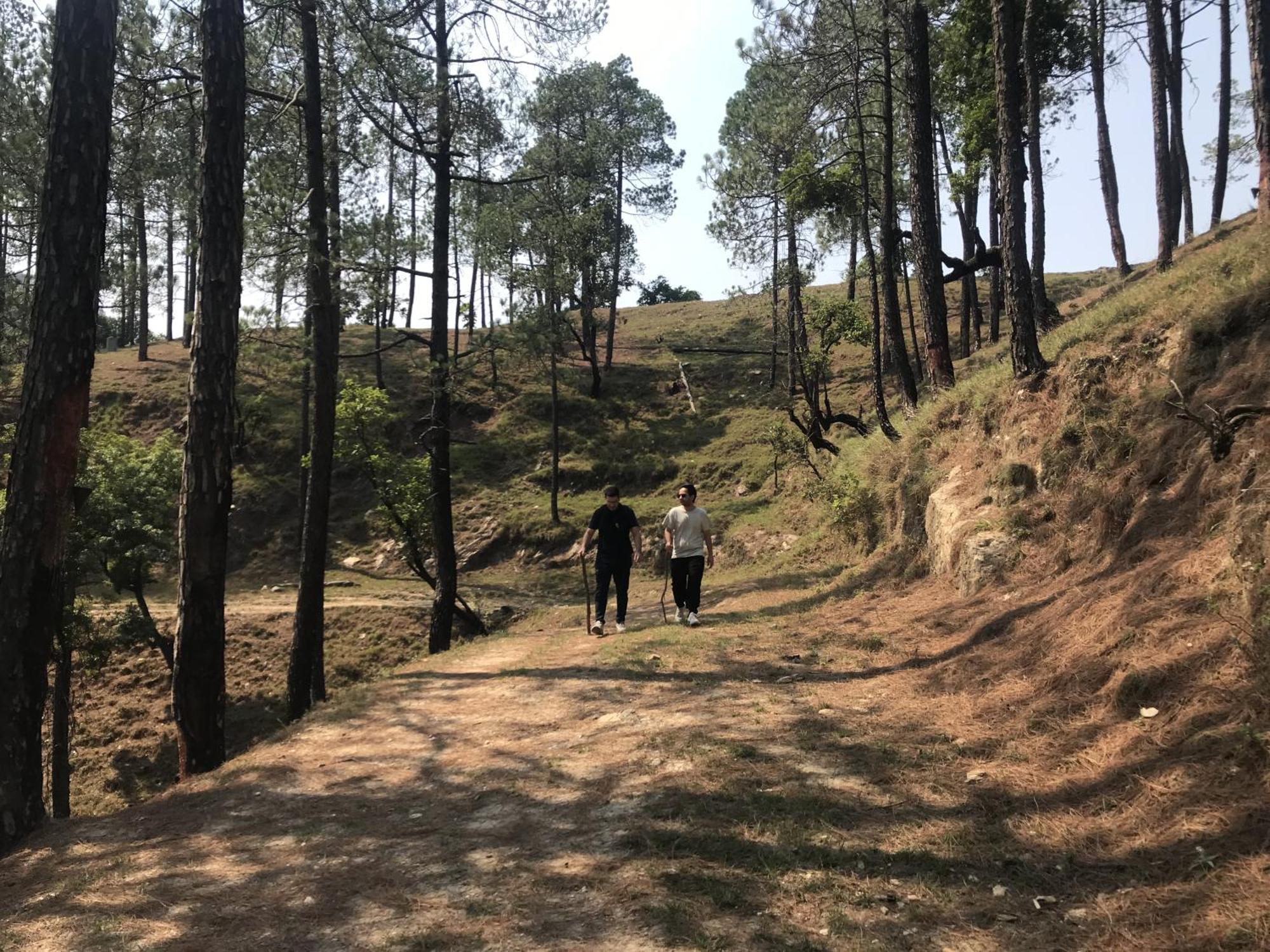 Simba Jungle Lodge, Binsar Wildlife Sanctuary Экстерьер фото