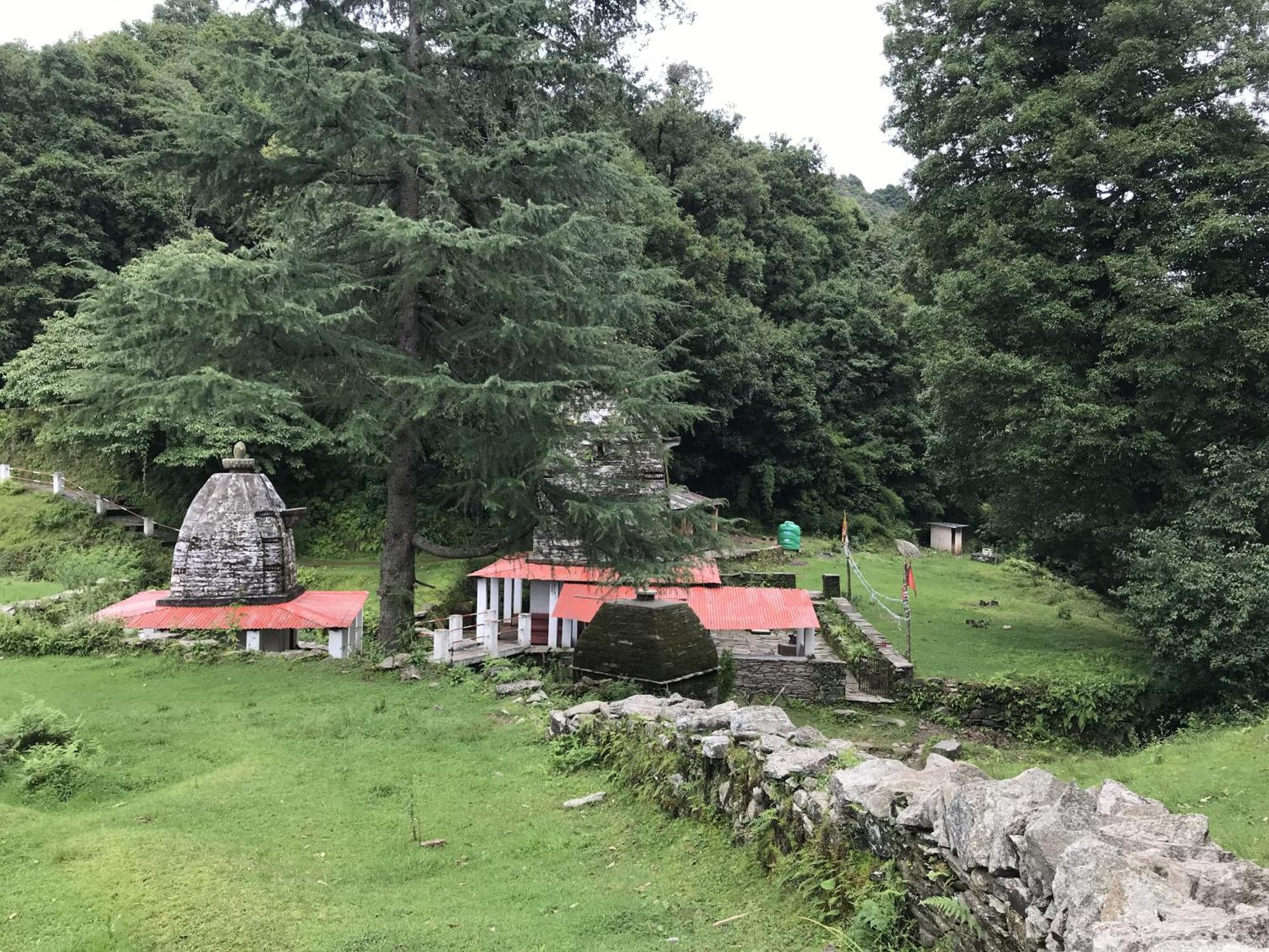 Simba Jungle Lodge, Binsar Wildlife Sanctuary Экстерьер фото