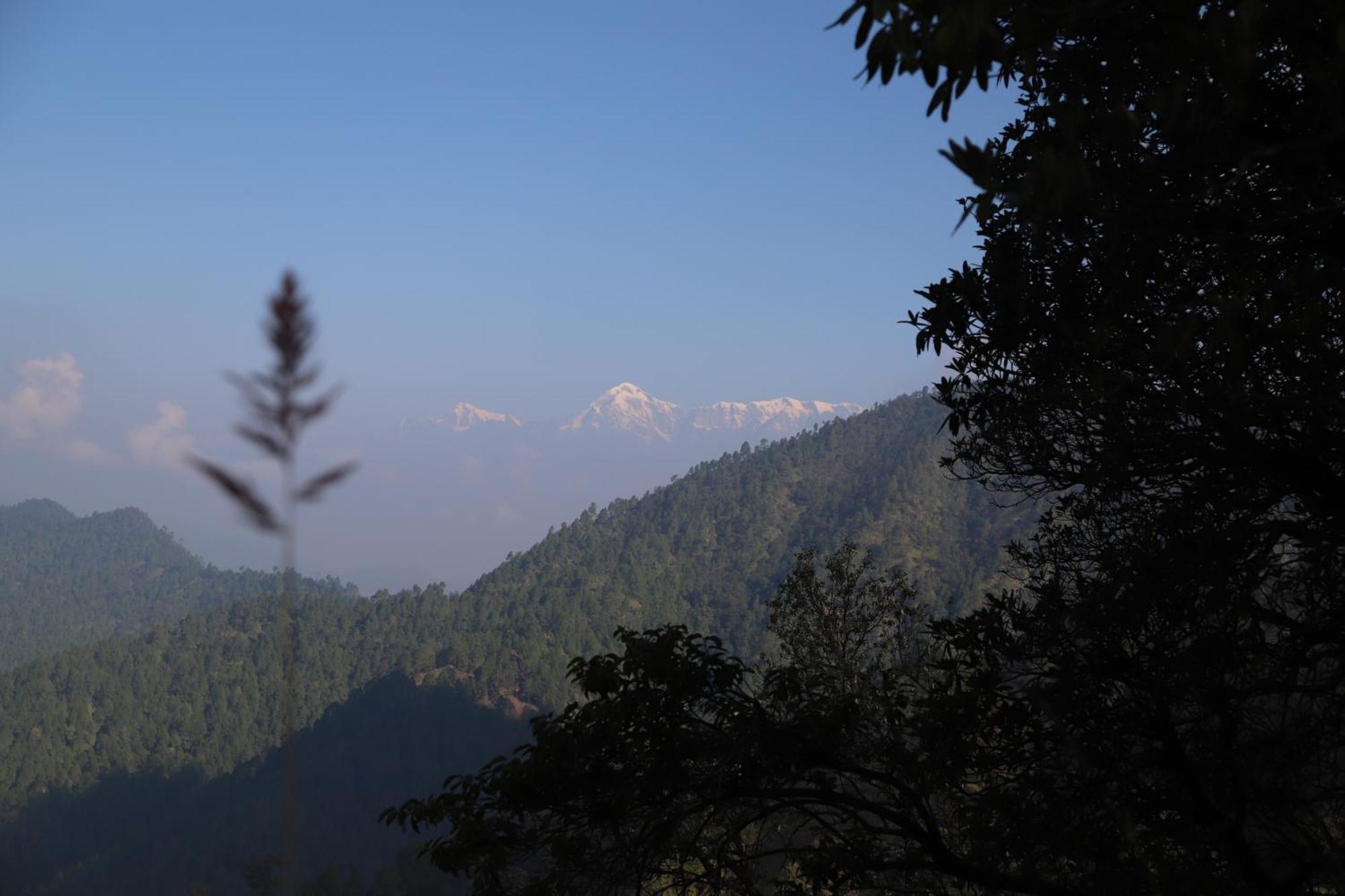Simba Jungle Lodge, Binsar Wildlife Sanctuary Экстерьер фото